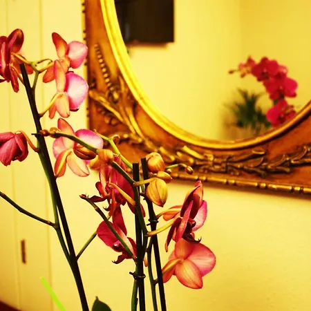 Ginebra Отель *